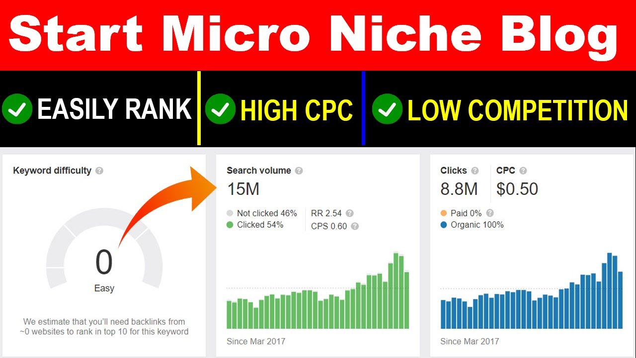 How to Start the Perfect Micro Niche Blogging Website | Micro Niche keywords | Best Ides 2020