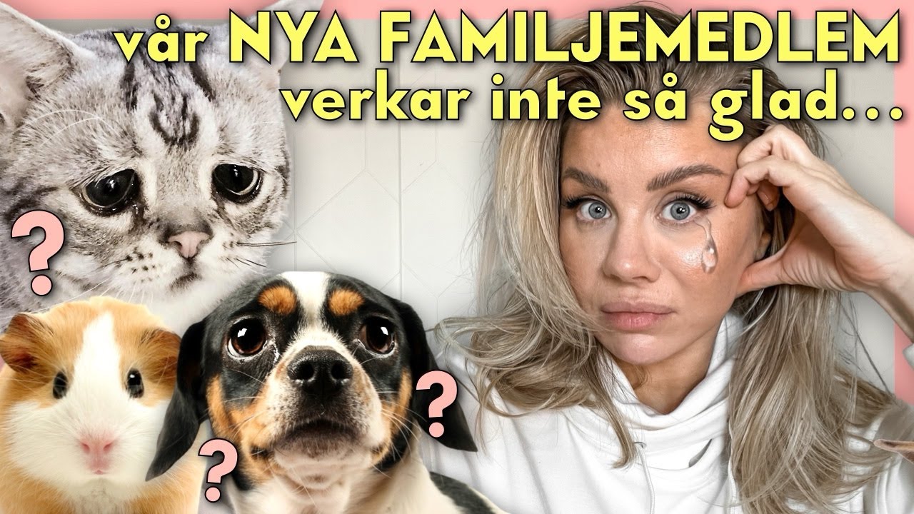 Ny familjemedlem flyttar in...men verkar inte så glad.