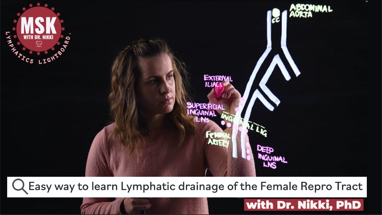 Lymphatic drainage of the female reproductive tract