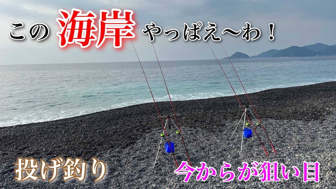 【投げ釣り】この海岸やっぱえ〜わ…今からが狙い目！