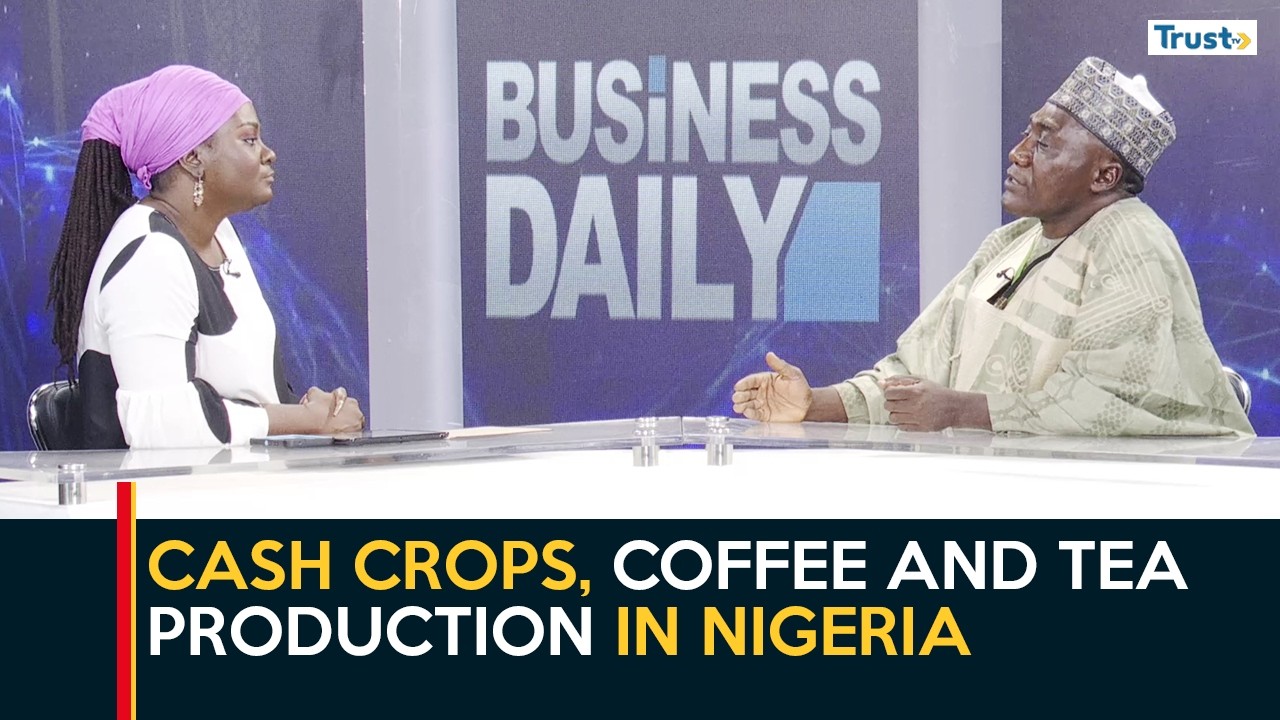 Cash crops, coffee and tea production in Nigeria | Business Daily