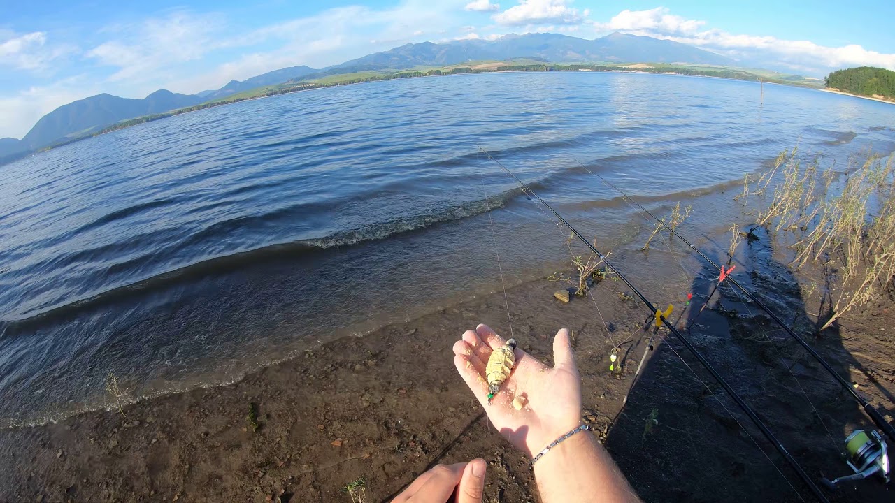 Lov kapriku na kolinka. Rybarske retro 4.