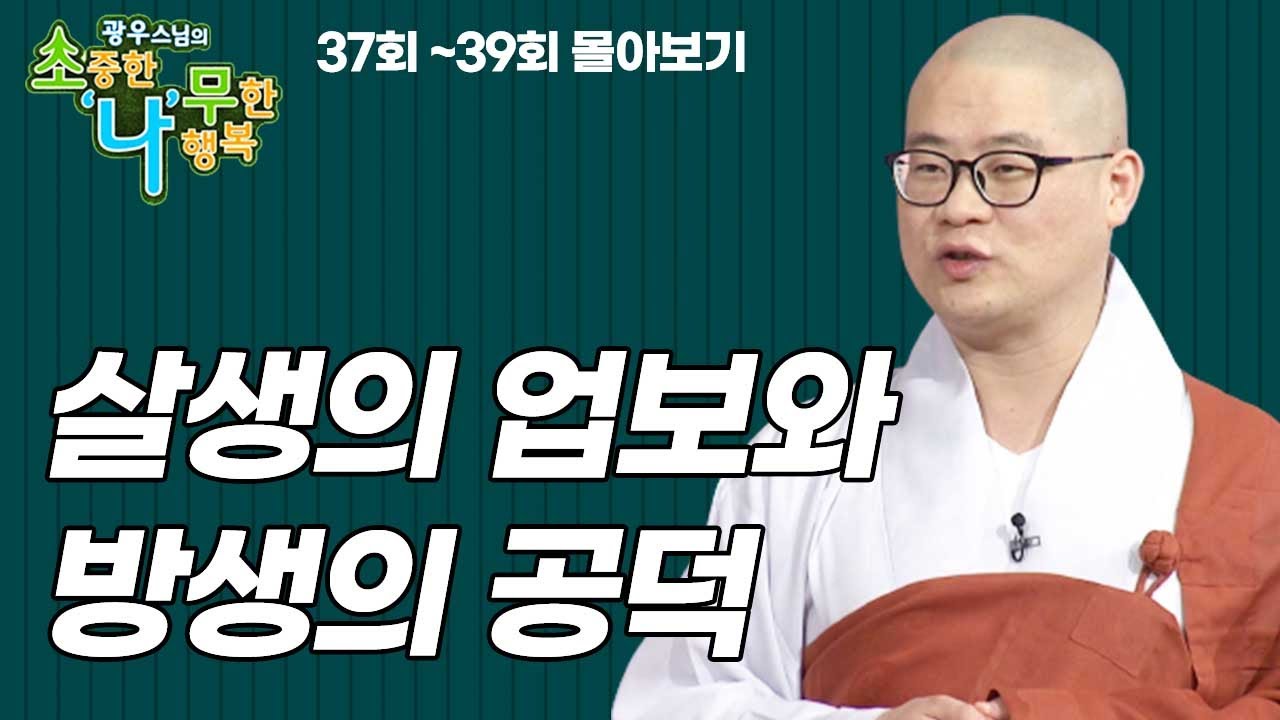 살생의 업보와 방생의 공덕  [광우스님 소나무 3편 몰아보기]