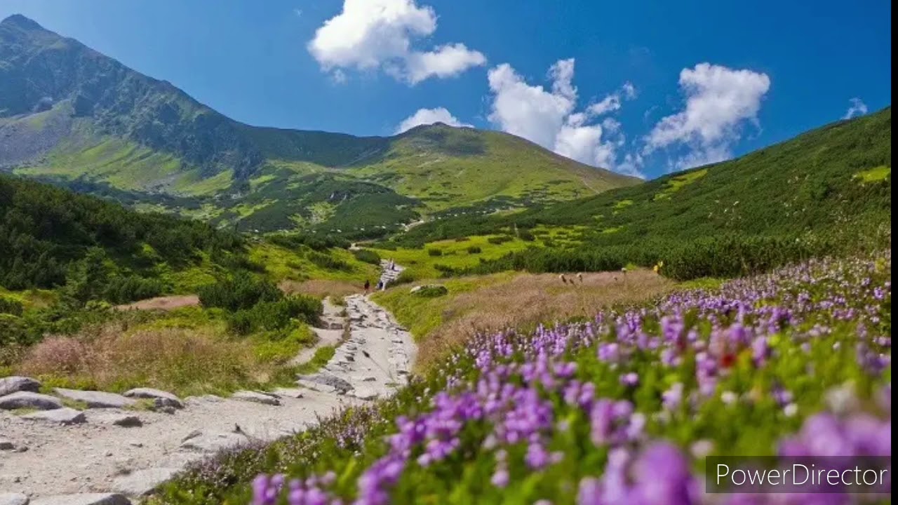 Goralko Halko najlepsza wersja