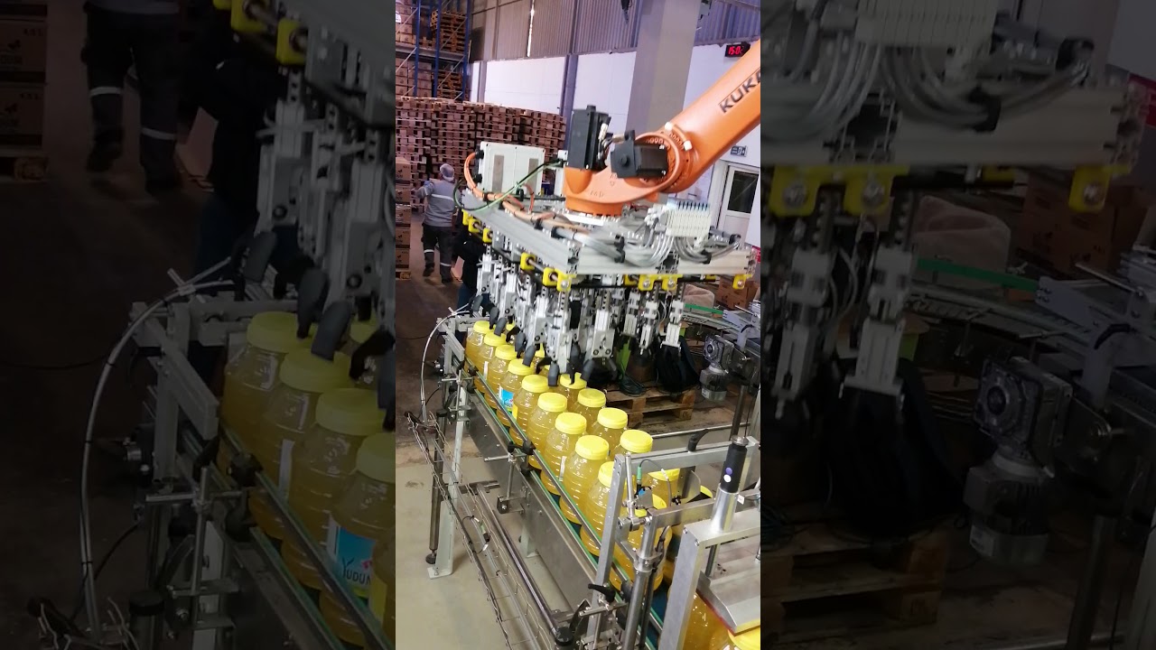 Kolileme Robotu