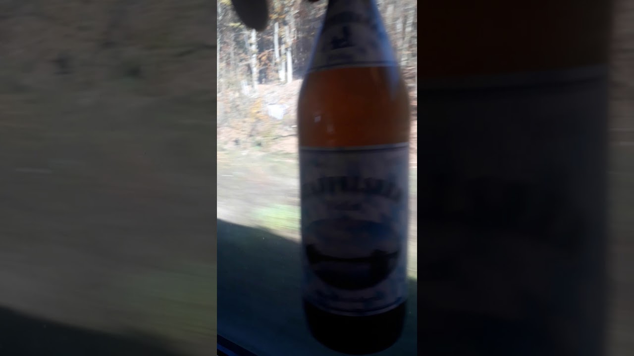 Traum oder Alptraum. Flasche Staffelseer Hell fliegt am Fenster vorbei.