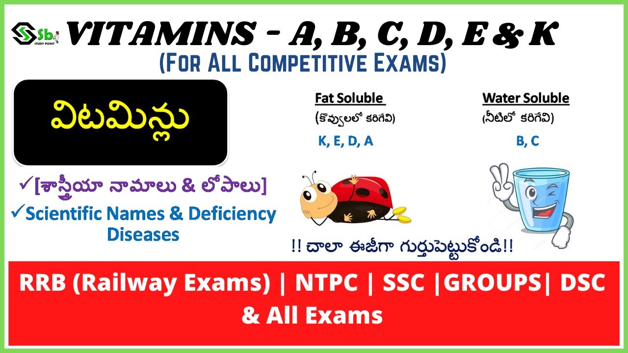 Vitamins In Telugu |Scientific Names| Static GK Questions |General Science SSC CHSL MTS RRB Bank All