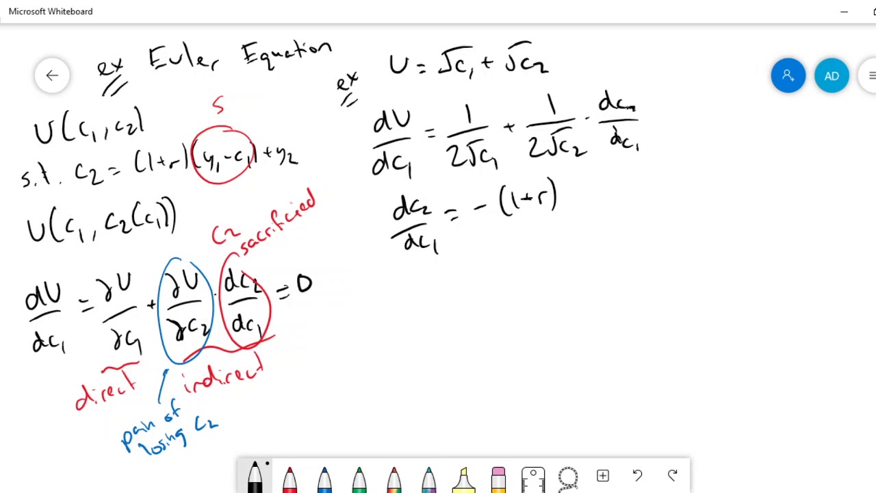 Basic Two-Period Euler Equation