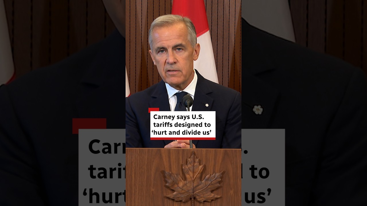 Carney says U.S. tariffs designed to &lsquo;hurt and divide us&rsquo;