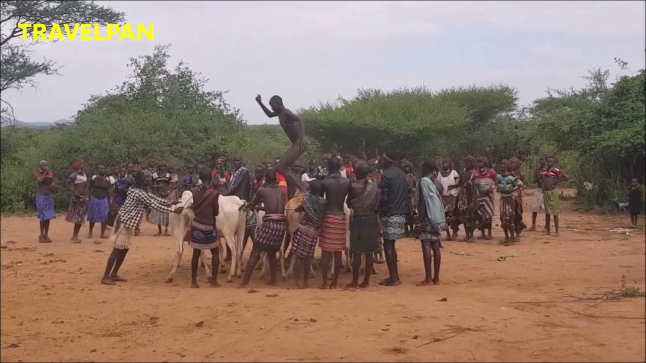 BULL JUMPING CEREMONY- HAMER TRIBE,OMO VALLEY,ETHIOPIA