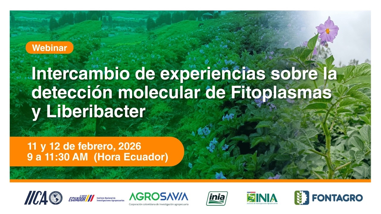 Intercambio de experiencias sobre la detección molecular de Fitoplasmas y Liberibacter. Día 2