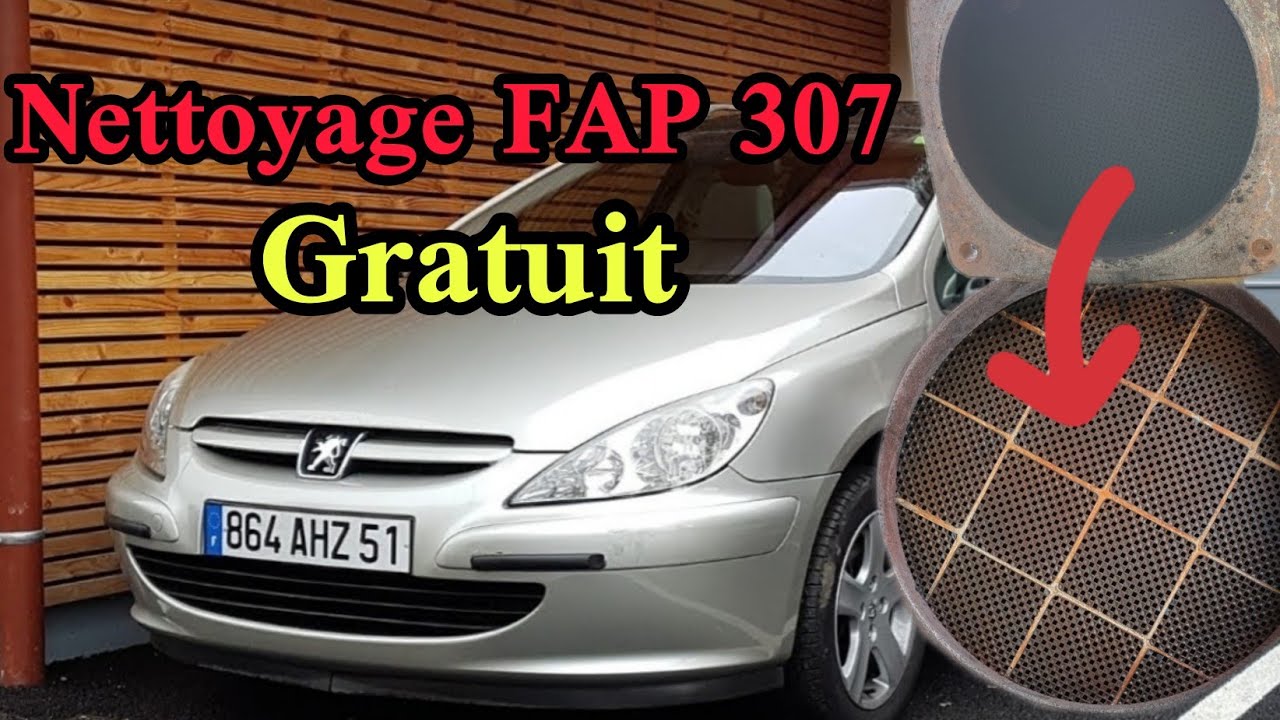 شاهد الطريقة الصحيحة لفتح وتنضيف الفاب nettoyage FAP 307 gratuit