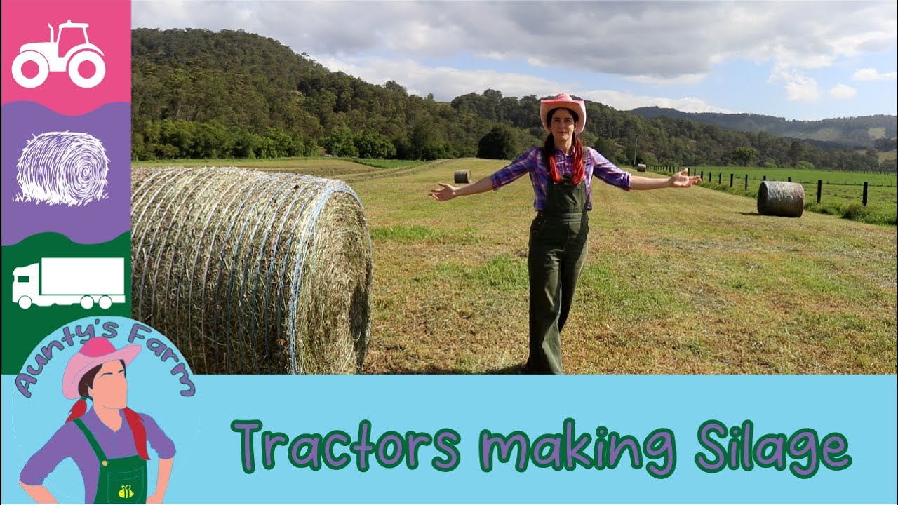Tractors Making Silage on Aunty's Farm