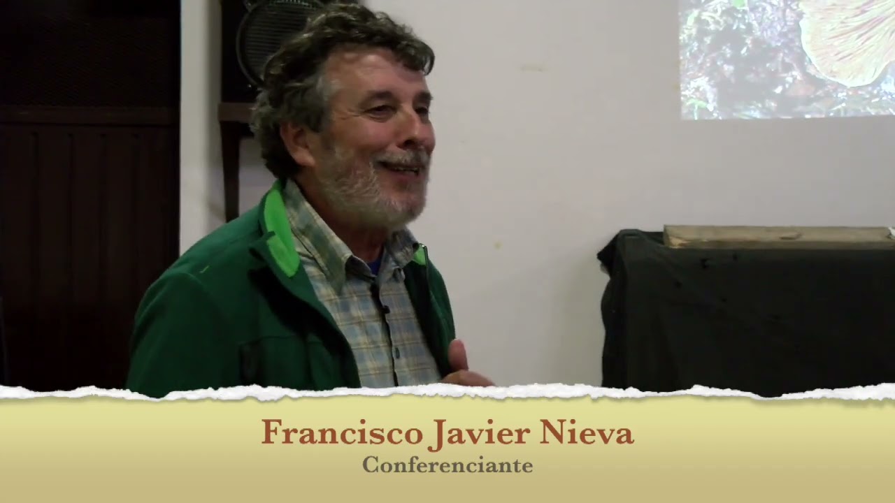 XIV Jornadas Micológicas de Nerva