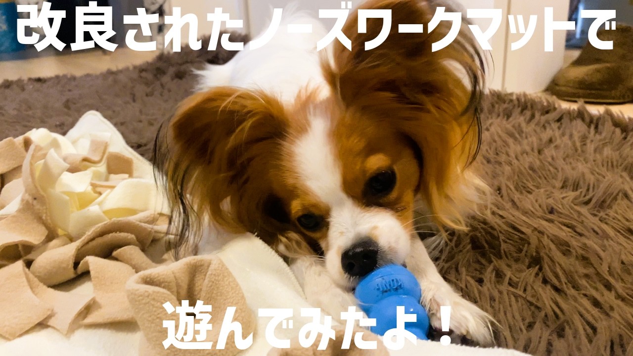 ノーズワークマットを改良してみた！