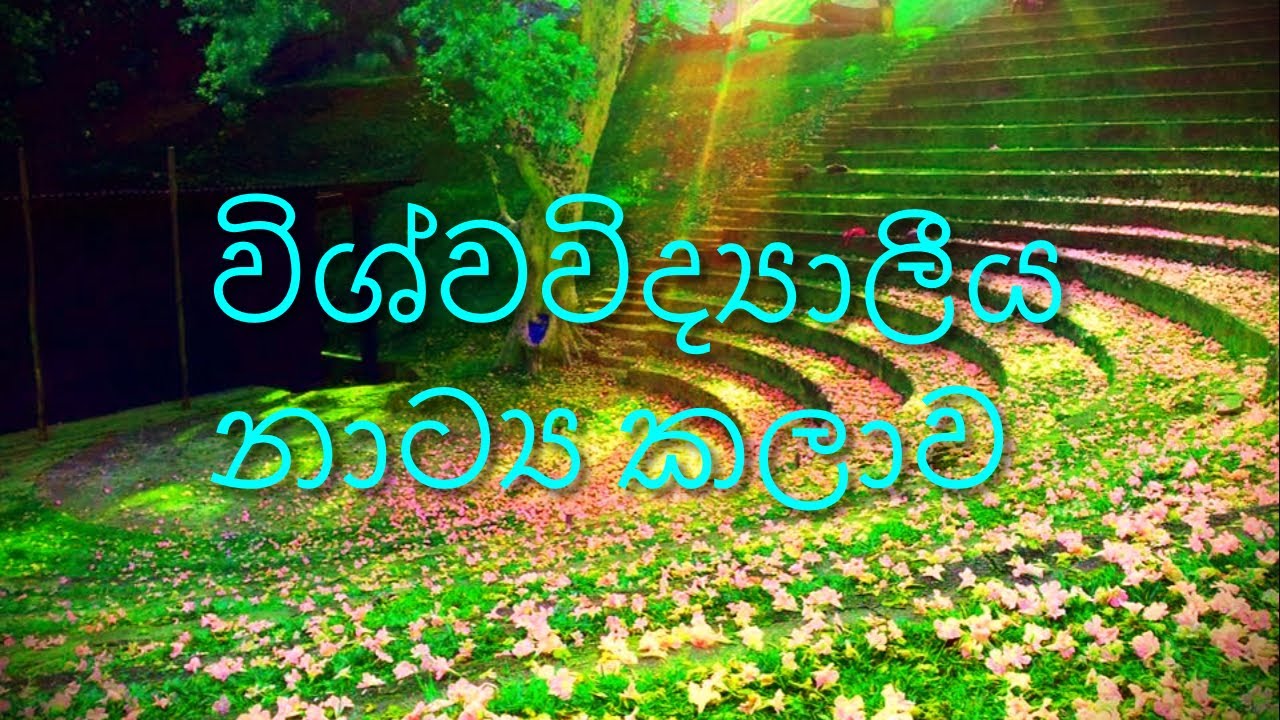 විශ්වවිද්‍යාලීය නාට්‍ය කලාව