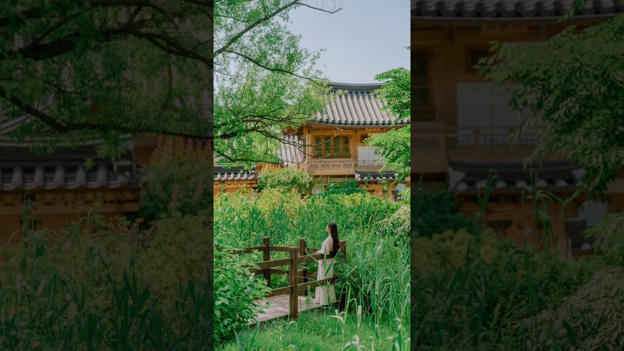 Embracing Korea&rsquo;s Slow Life : A Cinematic Journey