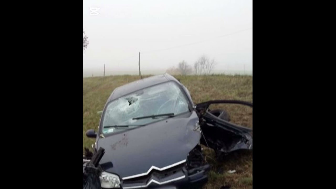 Diss Sateja c5 szrot ale z bassem