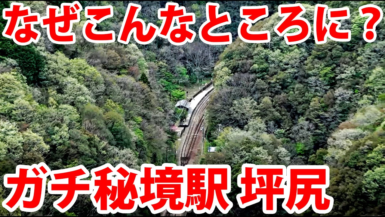 【脱出困難】秘境駅「坪尻」周辺を探索する