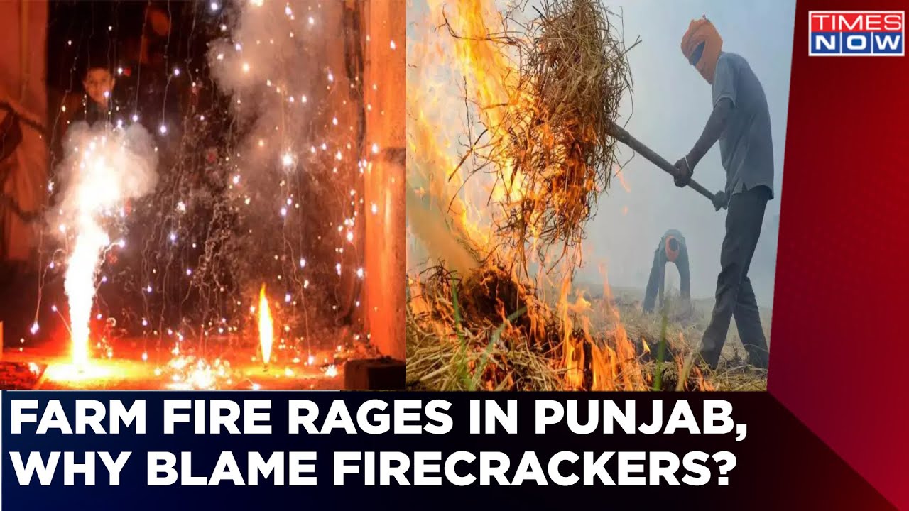 Farm Fire Rages In Punjab, Congress Targets AAP Government, Asks 'Why Blame Firecrackers?'