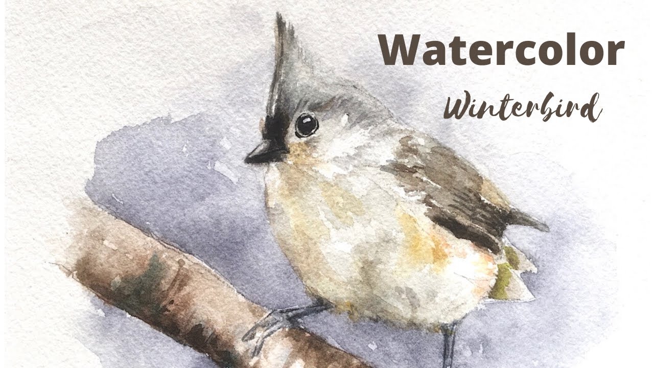 How to Paint a Watercolor Tufted Titmouse l  Watercolor Christmas Card Ideas l Winterbirds l 수채화새그리기