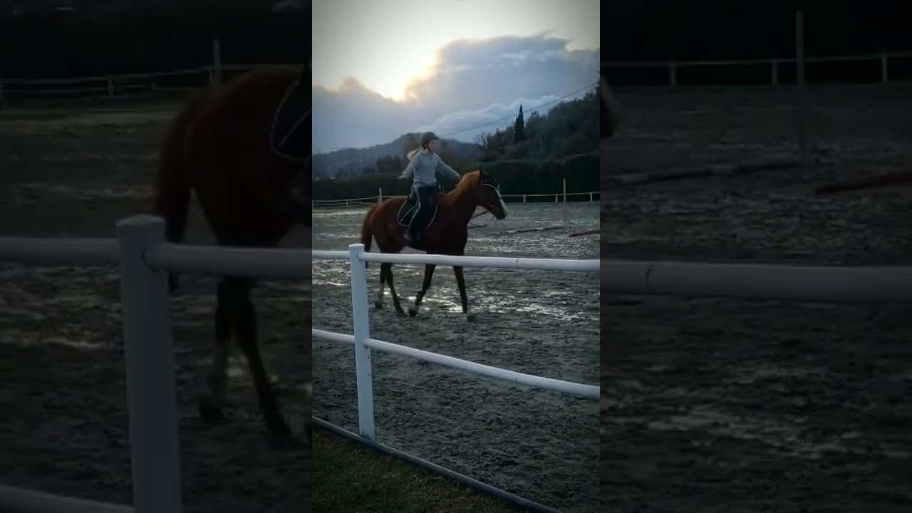 trotto battuto senza mani e senza staffe