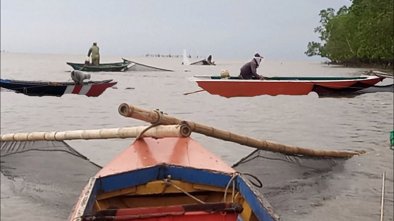 menjaring udang rebon‼️ramai, ngumpul di satu tempat ‼️SERUH