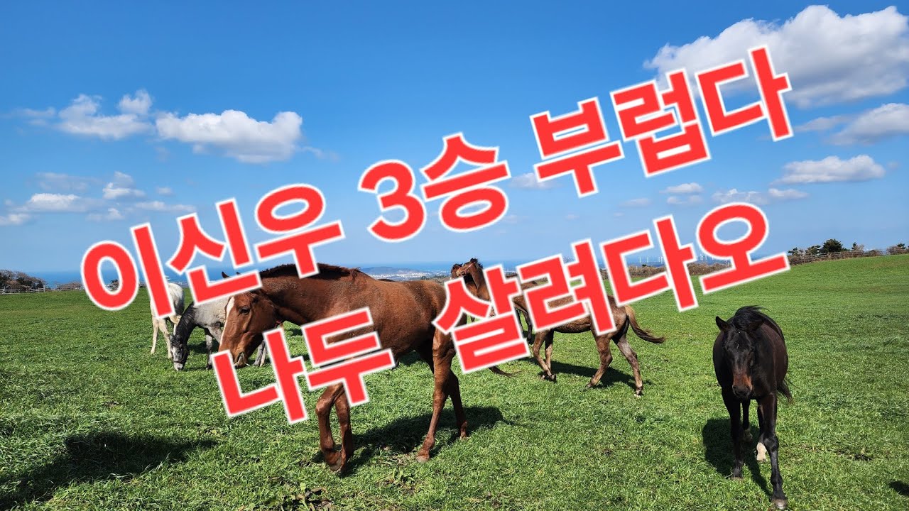 이신우 3승 부럽다. 나두 도와다오?