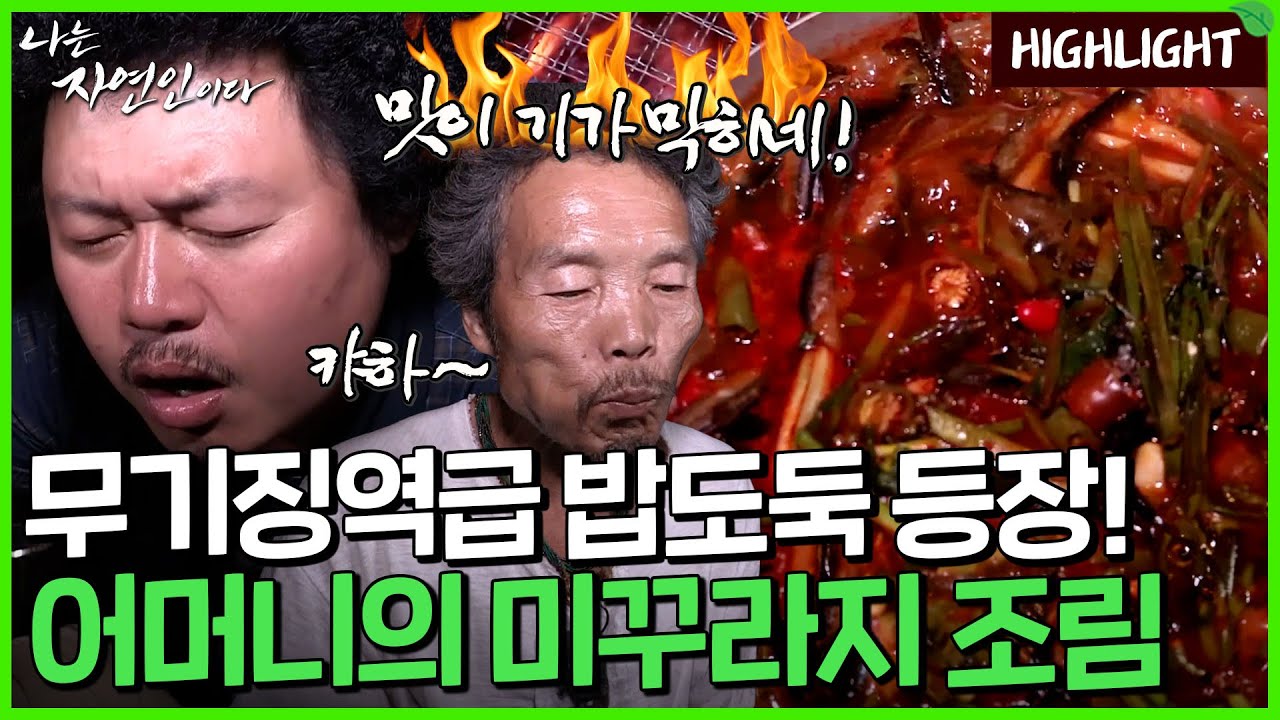 자작한 국물에 한 숟갈, 부드러운 살코기에 한 숟갈! ｜자연인 하이라이트 208회