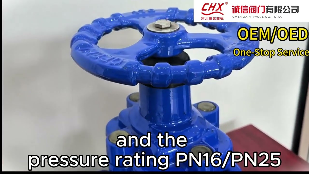 DIN GGG50 Gate Valve