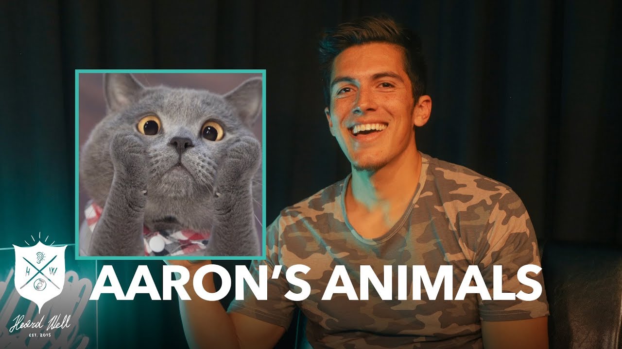 Aarons Animals -  How We Create Our Viral Cat Videos! | Heard Well