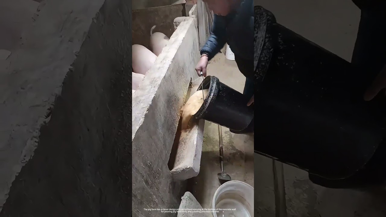 Smart Design Pigpen Makes Feeding Easily !