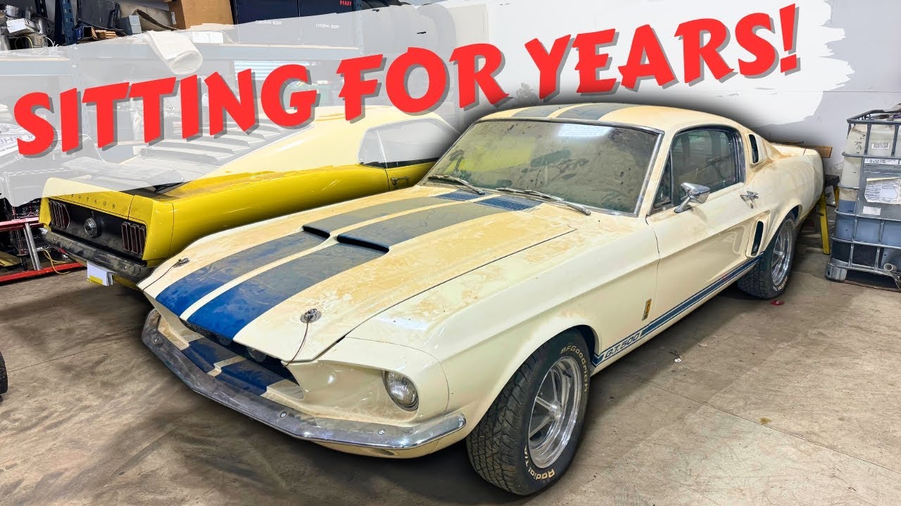 This Building was PACKED with Very RARE Shelby & Boss 302 Mustangs!