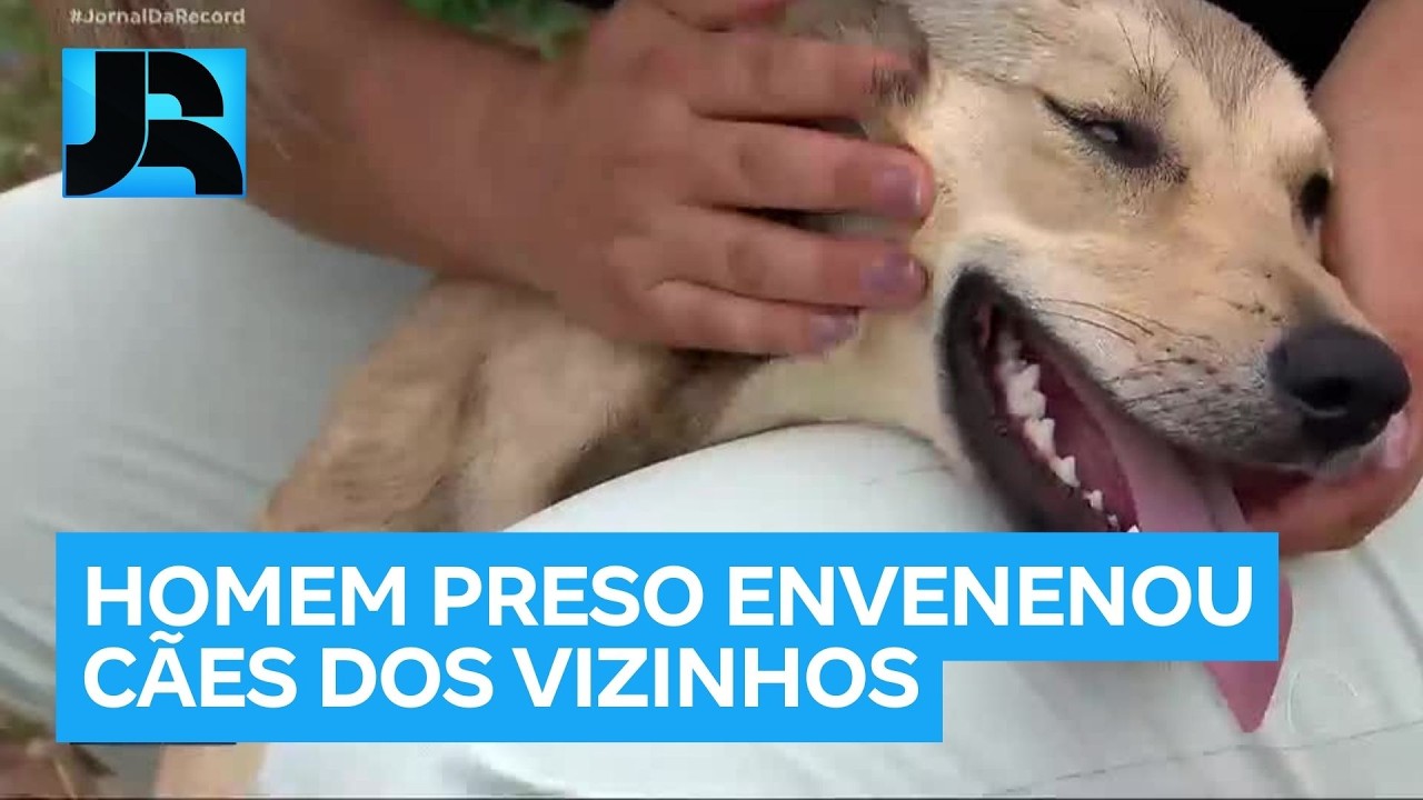 Polícia pede a prisão de homem suspeito de envenenar e matar cães dos vizinhos em MG