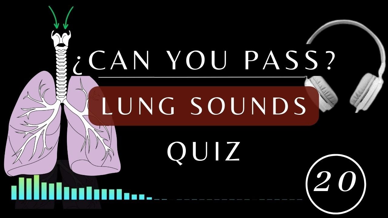 Name That Lung Sound Quiz | Normal and Abnormal lung sounds, types, #respiratory