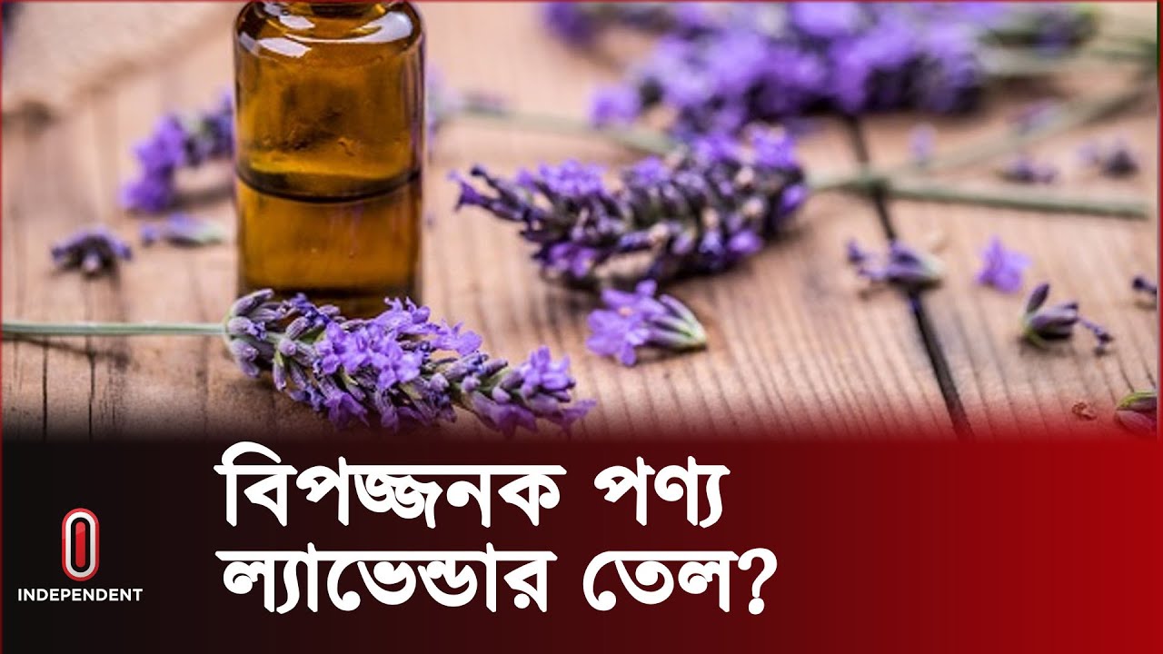 কেন বিপ-দজনক জনপ্রিয় এ তেলটি?  | Lavender Oil |  Independent TV