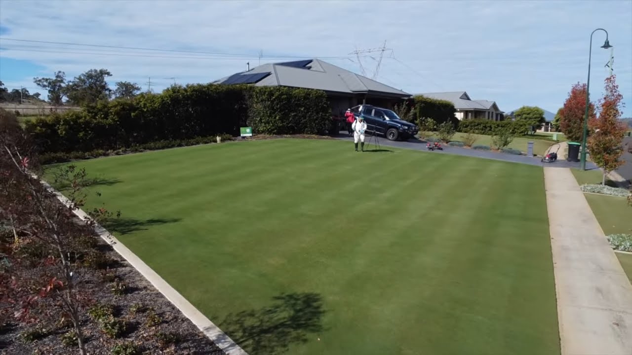 I painted my lawn green for the winter