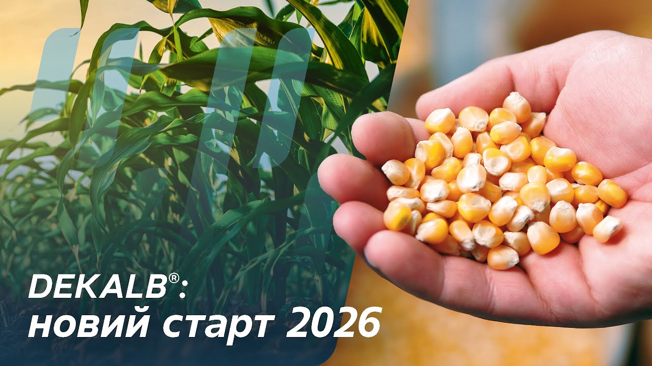 Dekalb у полі: підсумки 2025 і погляд у 2026