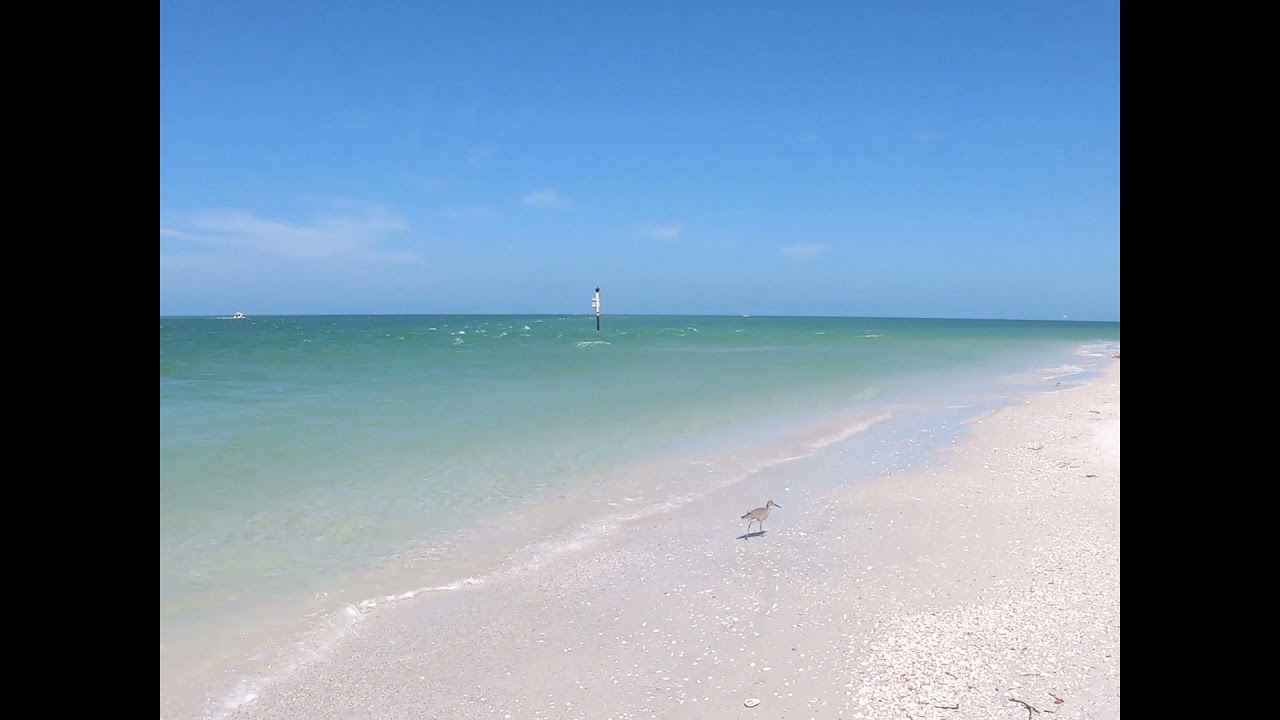 Fort Desoto Ferry To Shell Key   Hubbard's Ferry