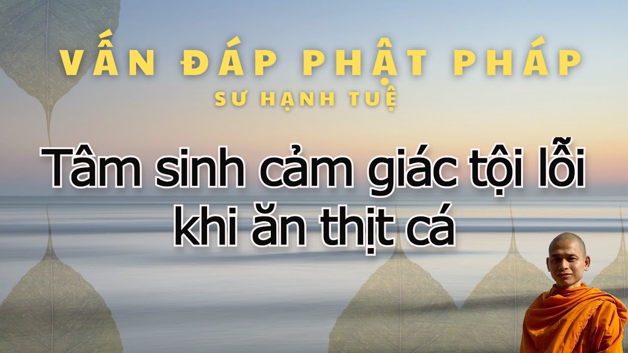 94. Tâm sinh cảm giác tội lỗi khi ăn thịt cá - Vấn đáp sư Hạnh Tuệ