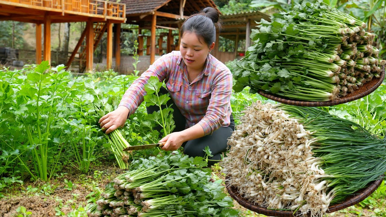 Harvesting Green Onions and Celery the Garden to Sell at the Market - Cleaning Up the Flower Garden.