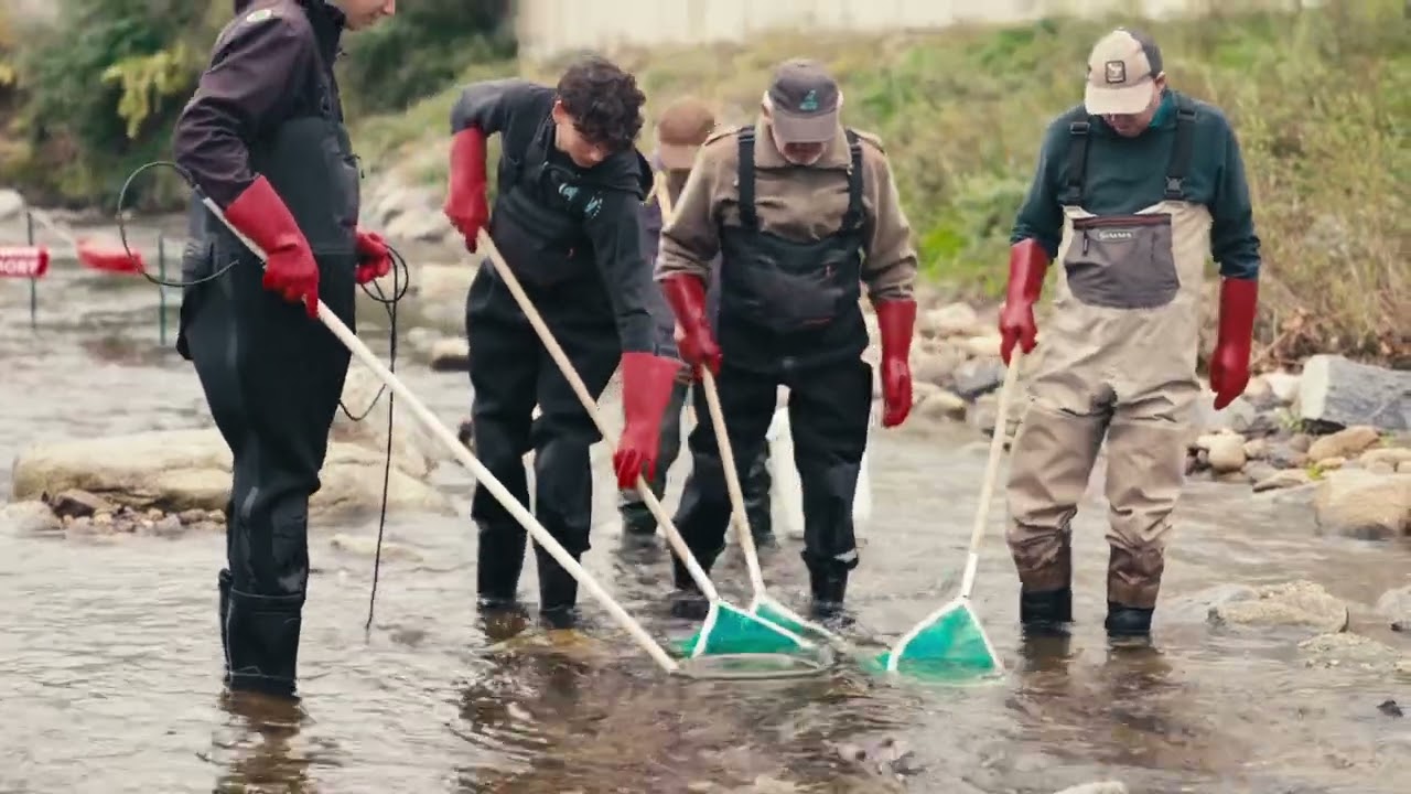 La qualité de l'eau