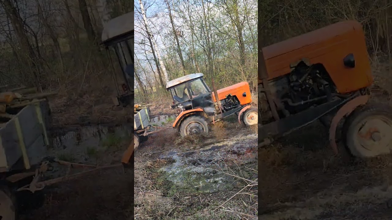 Błotko :) samik off-road