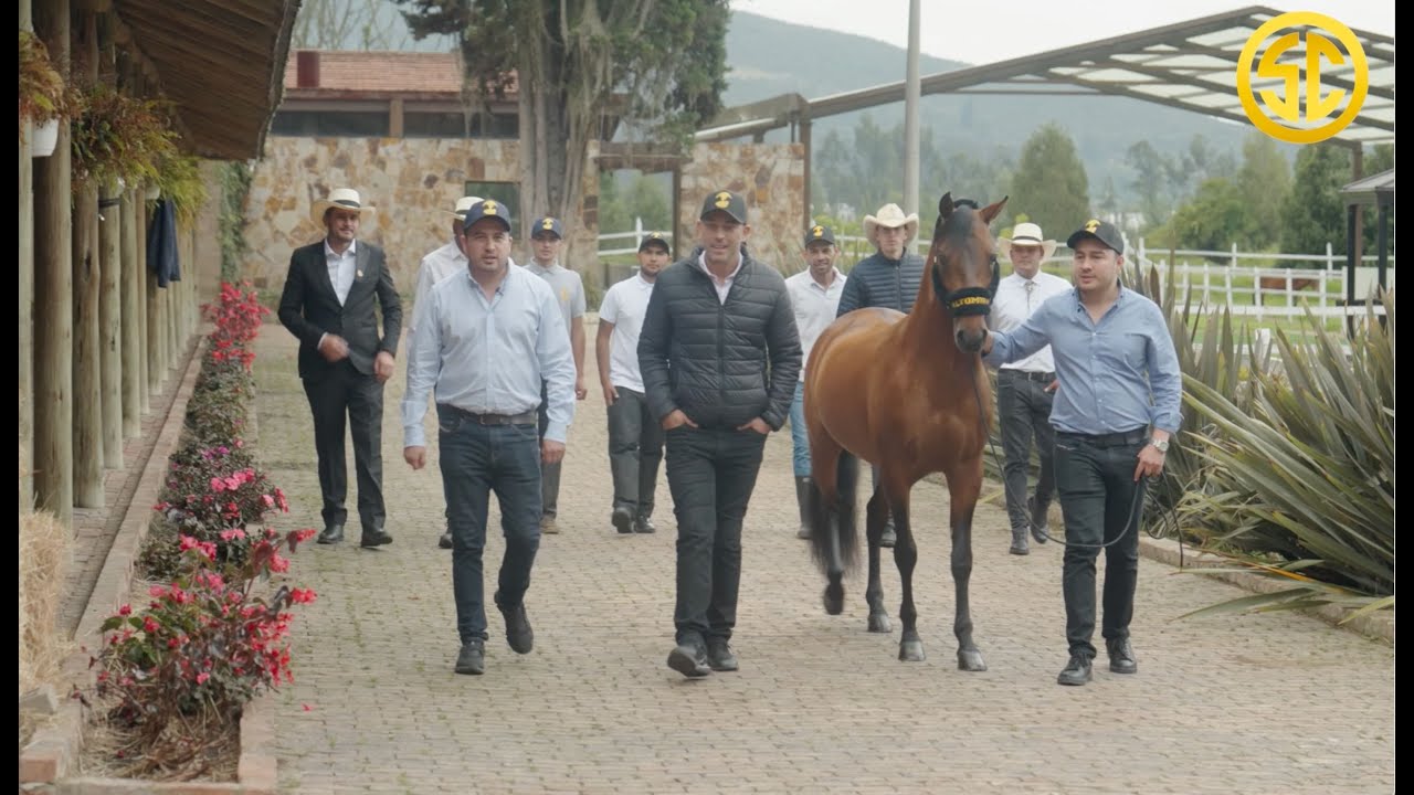 La Caballada | Agropecuaria Altomira
