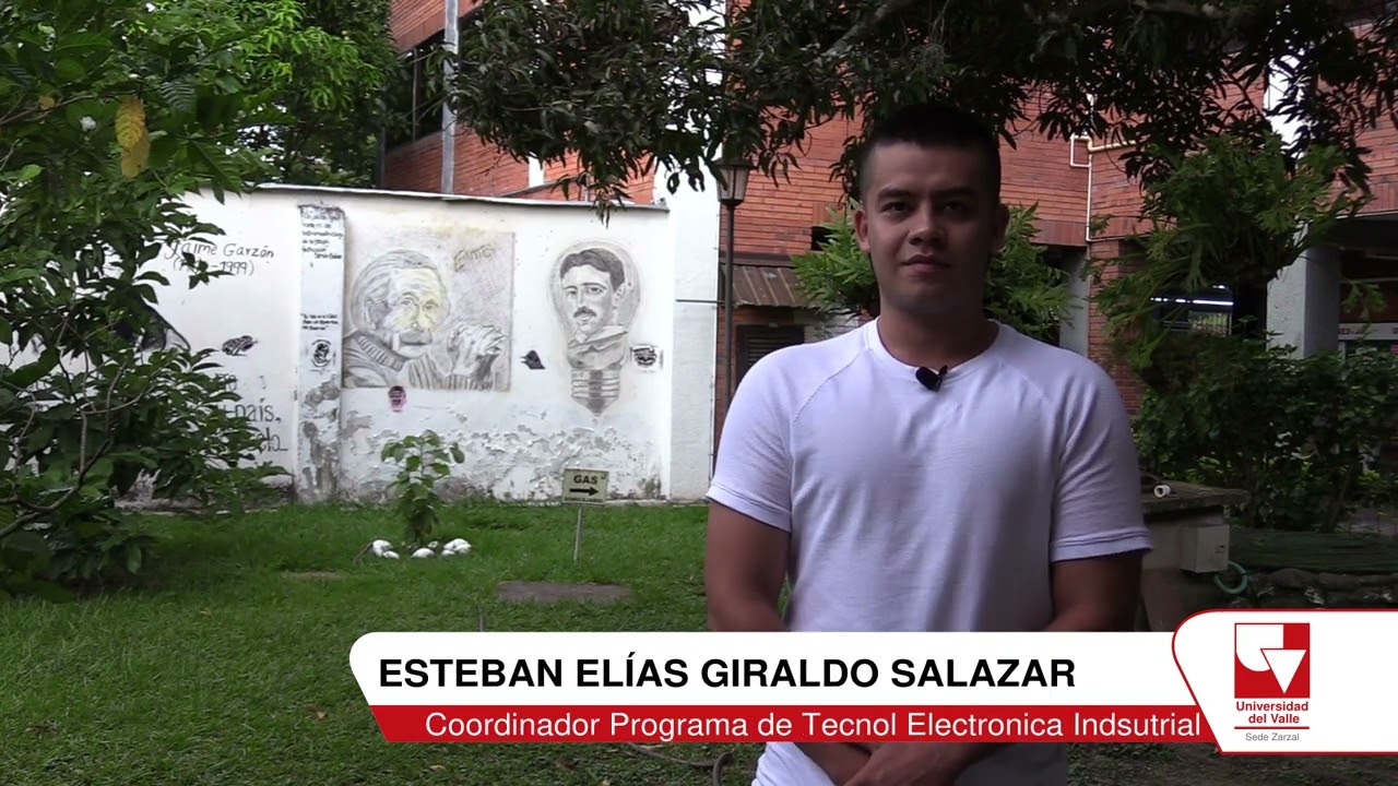 PROGRAMA DE TECNOLOGÍA EN ELECTRÓNICA INDUSTRIAL