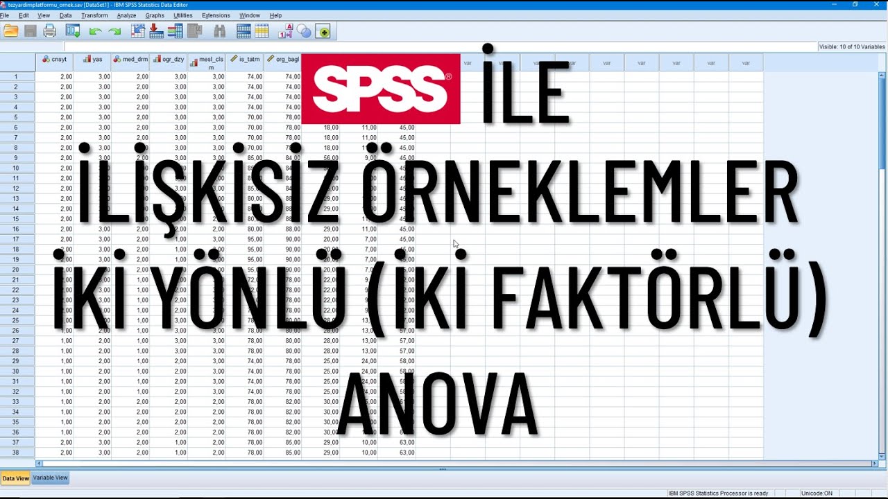 SPSS İle İlişkisiz Örneklemler İki Yönlü (İki Faktörlü) ANOVA | Örnek Durum ve Yorumlar İle