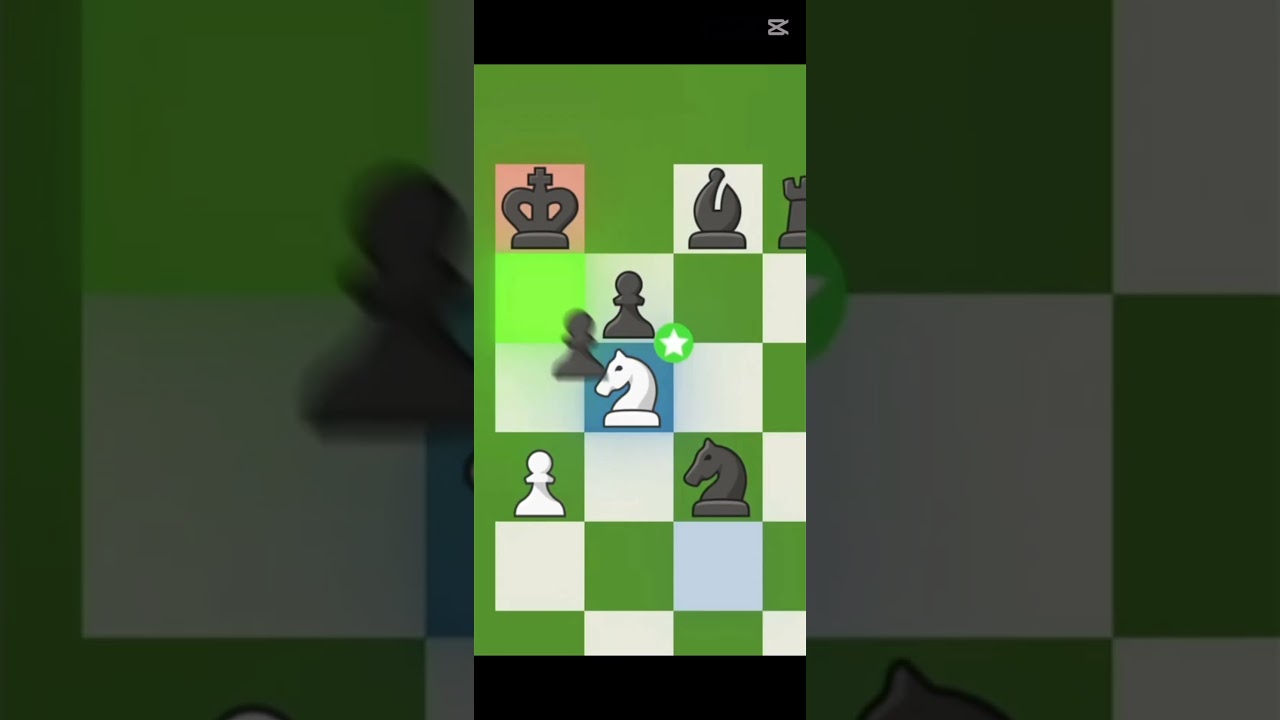 do you play chess?
