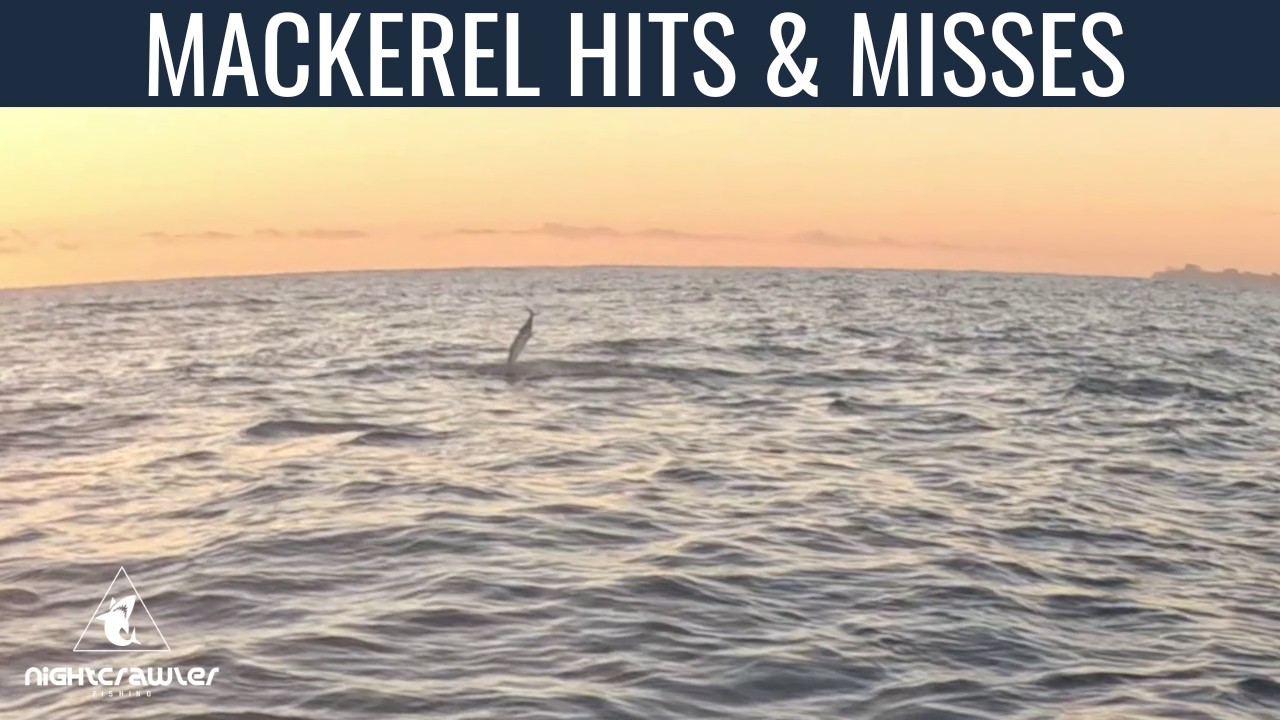 Mackerel Hits and Misses