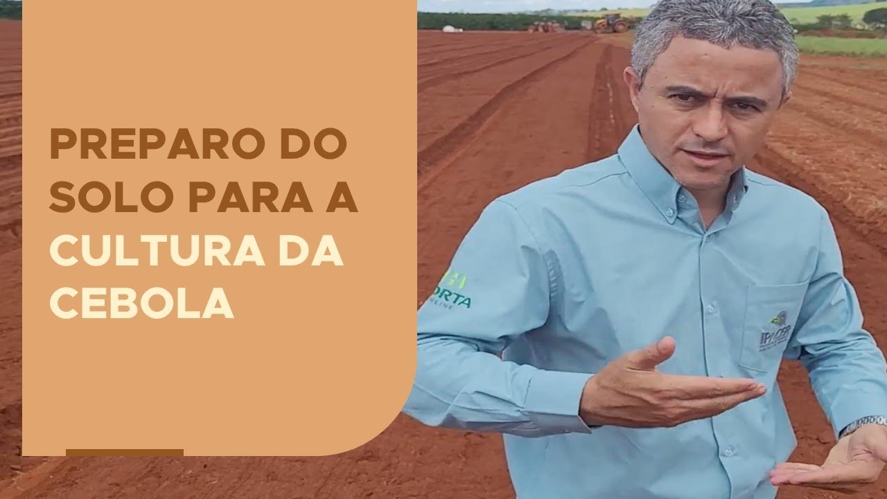 Preparo do solo para a cultura da cebola