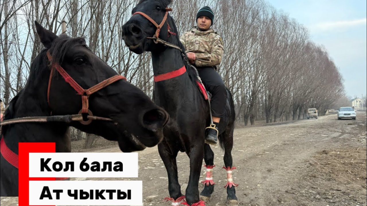 Кол бала дыйкандан ат чыкты 5 жаш ☎️+996224232323